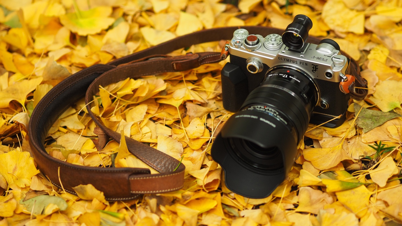 Фотоаппарат Olympus Pen-F лежит на желтой осенней листве