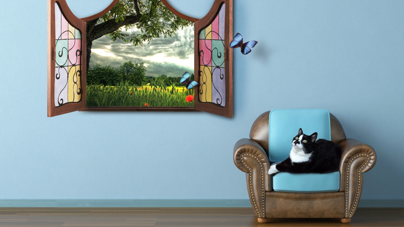 Черно белый кот лежит на кресле у окна