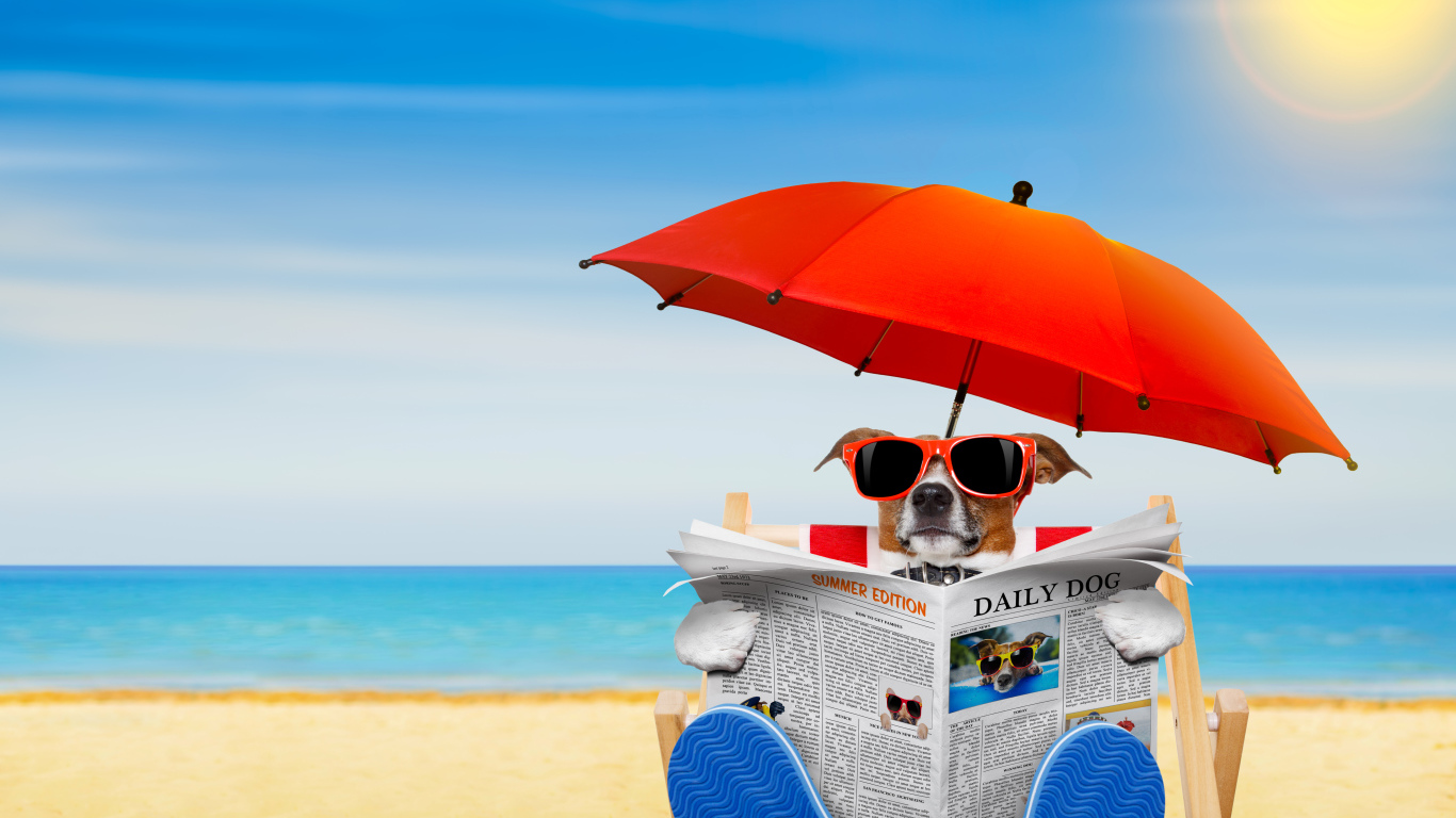 Джек-рассел-терьер в очках с газетой под зонтом на пляже