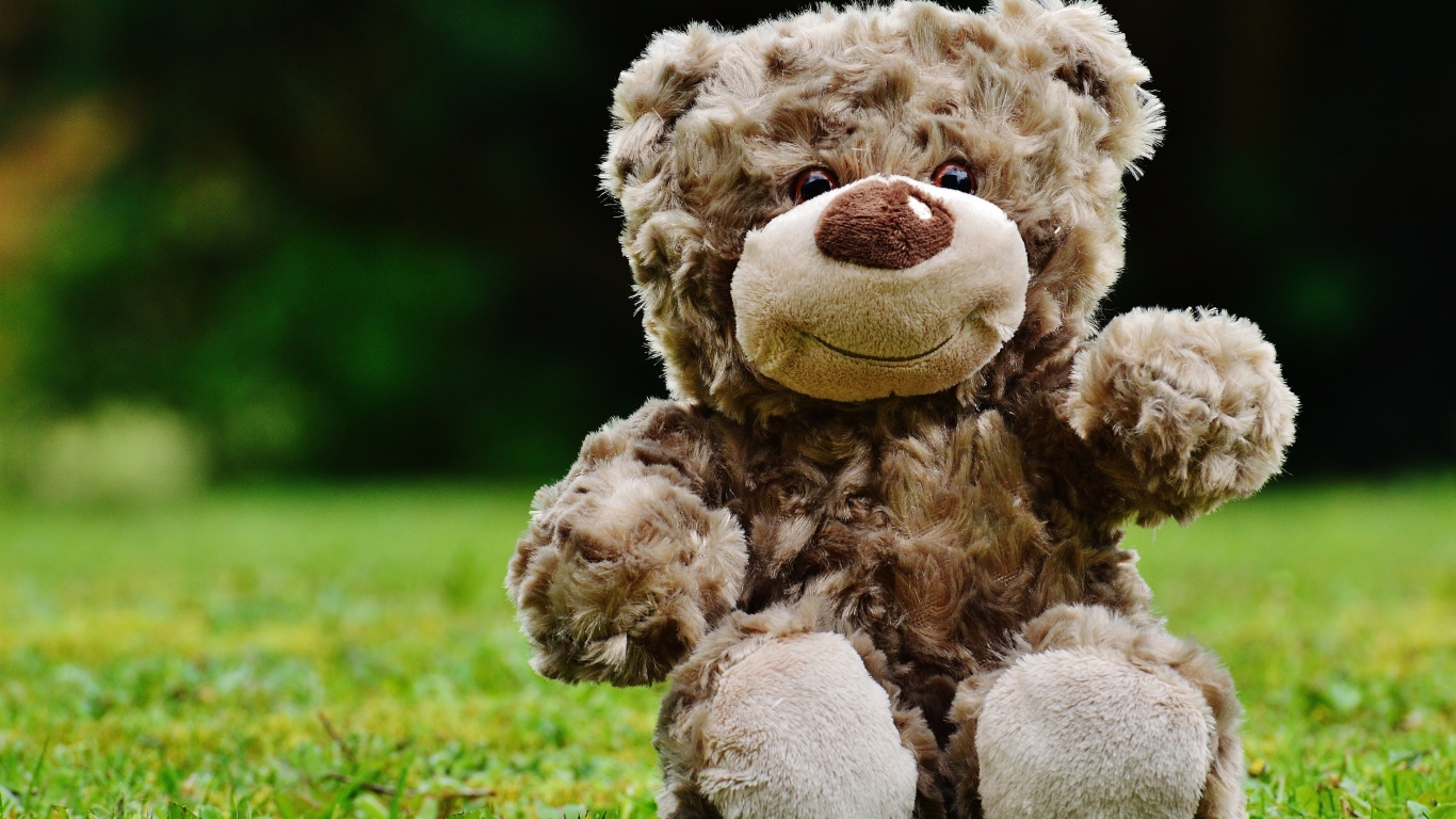 Милый плюшевый мишка сидит на зеленой траве