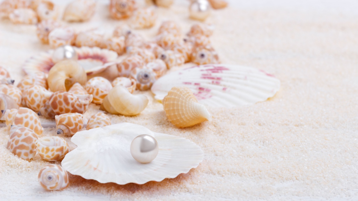 Seashells with pearls on white sand
