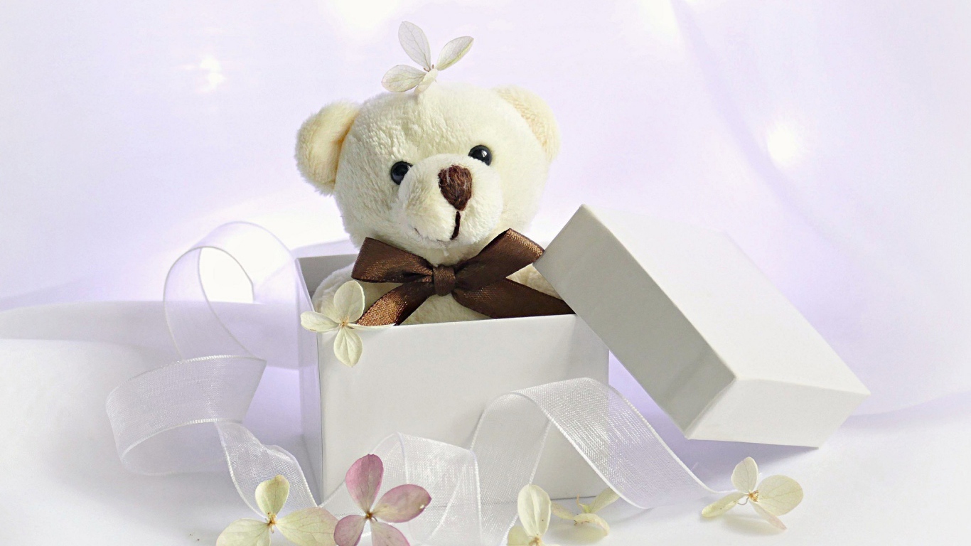 Белый плюшевый медведь в подарочной коробке