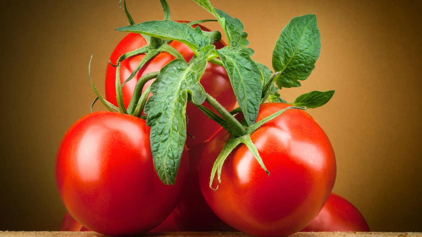 Крупные спелые красные томаты с зелеными листьями 