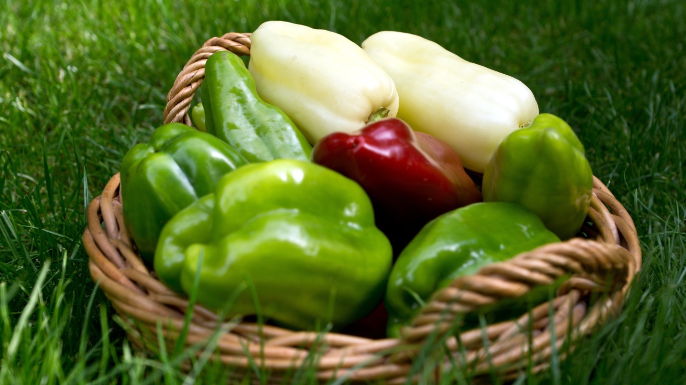 Разноцветный сладкий перец в корзинке стоит на зеленой траве