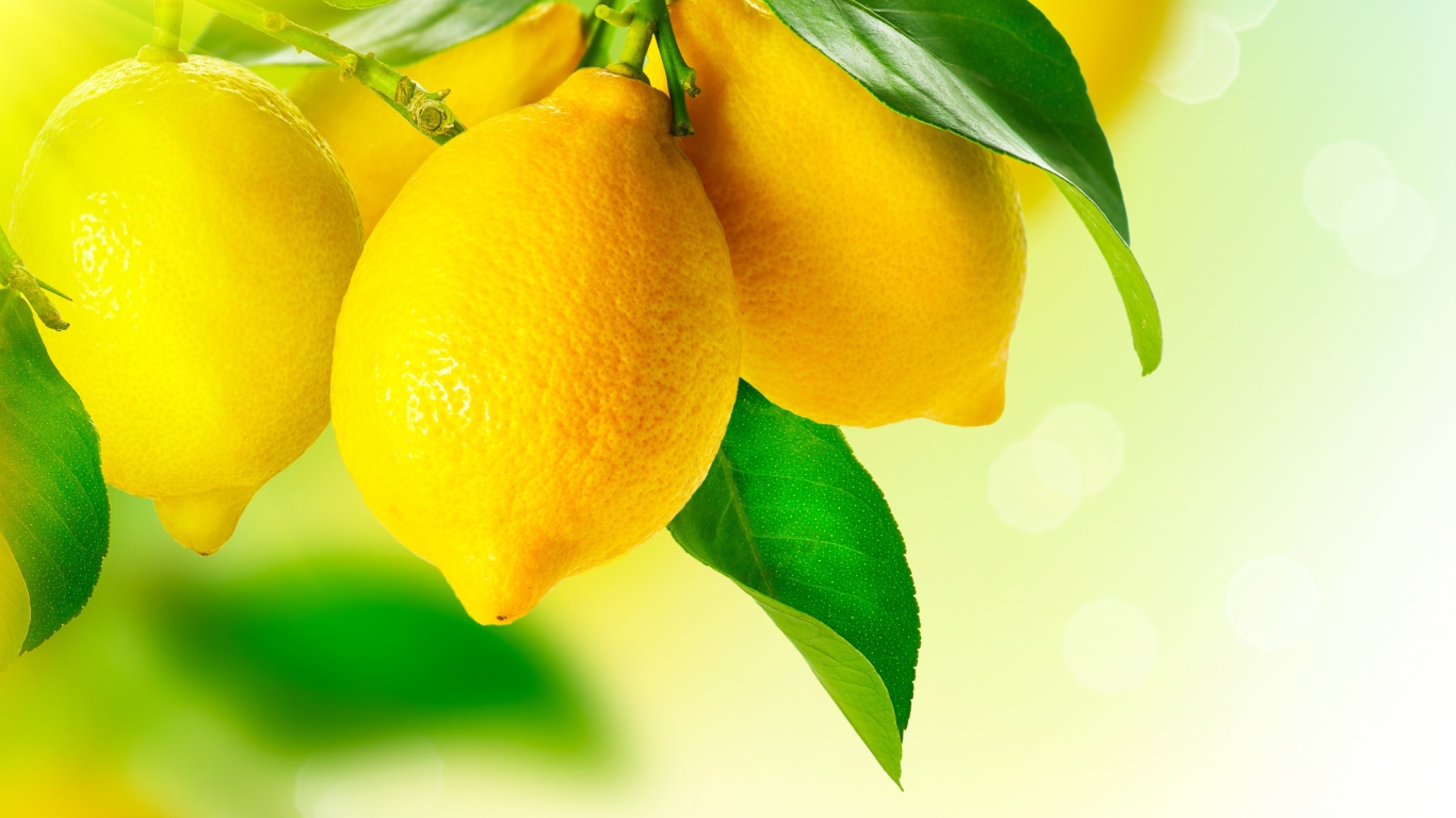Аппетитные желтые лимоны с зелеными листьями