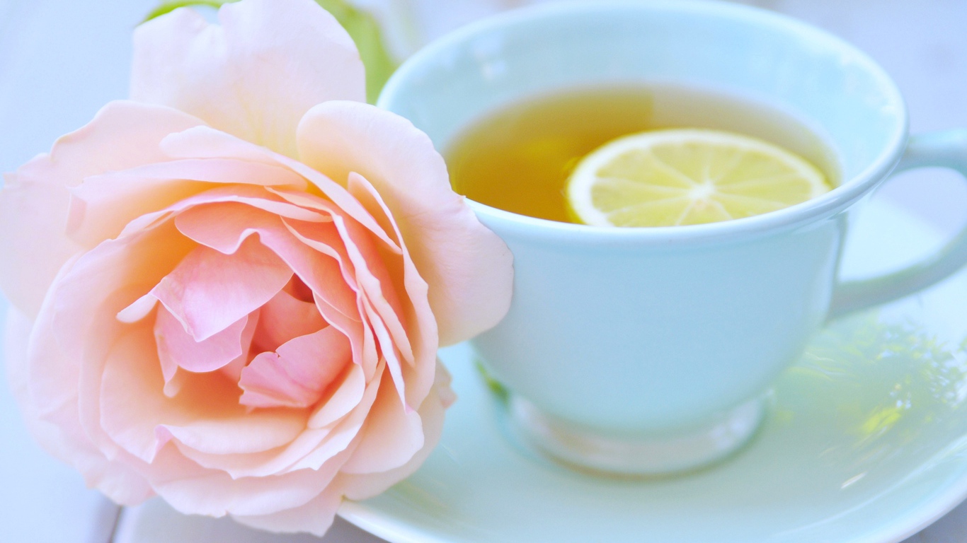 Белая чашка чая с лимоном и розовой розой