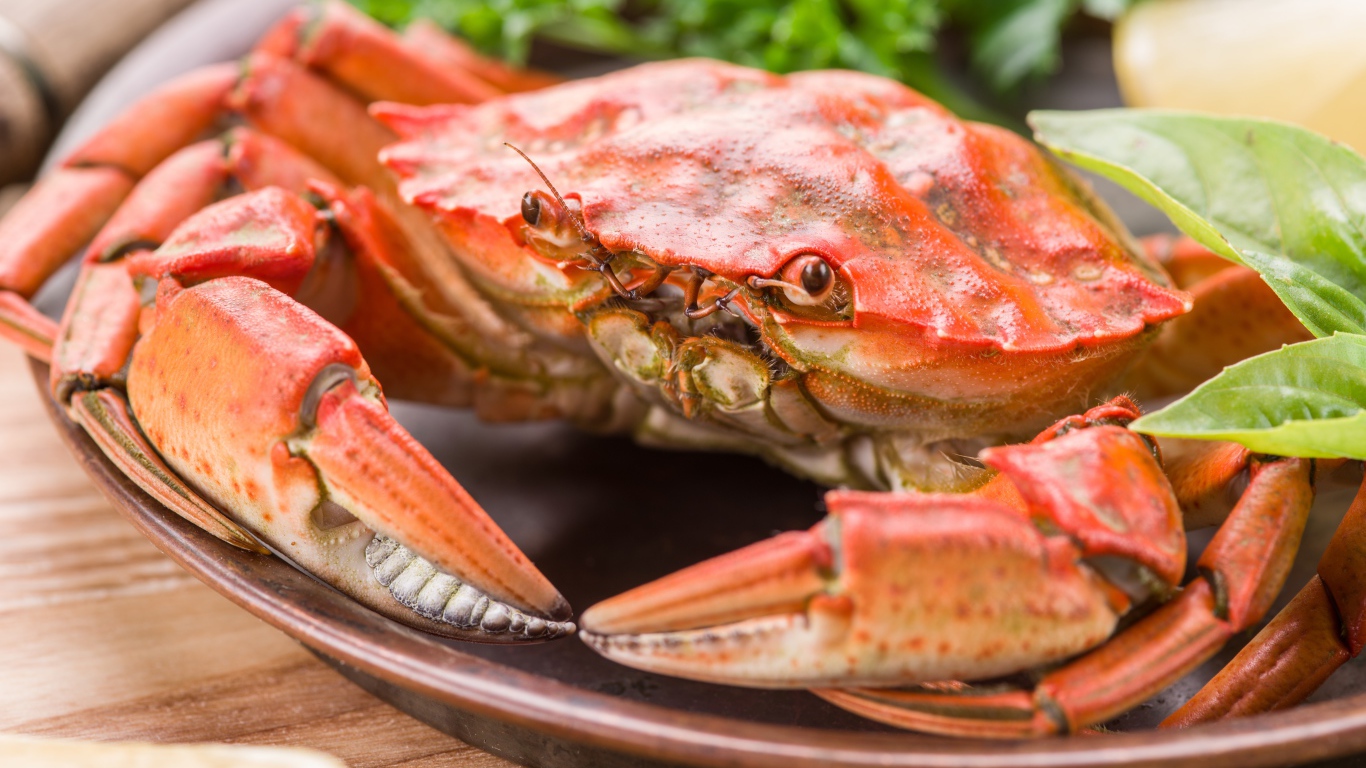 Большой вареный краб на тарелке с листьями салата