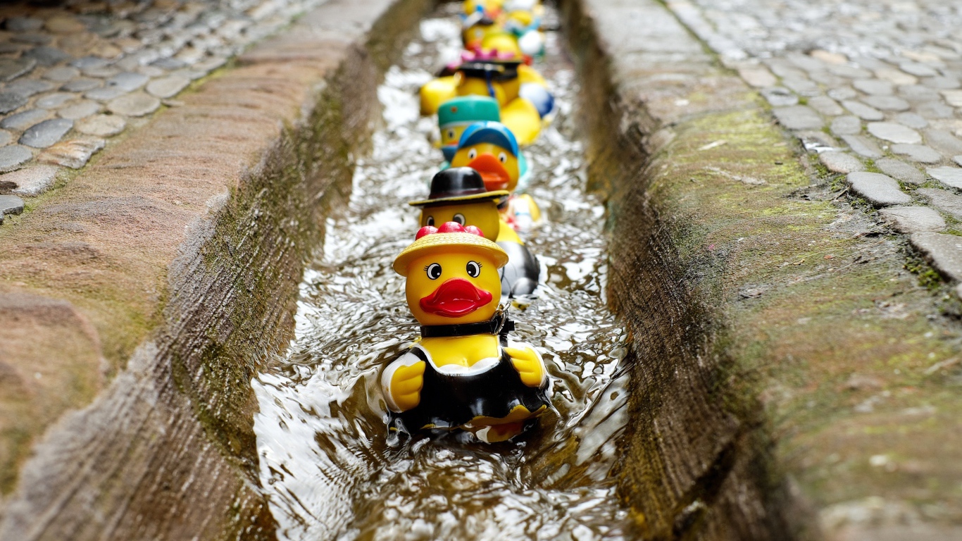 Игрушки утята в водосточной канаве