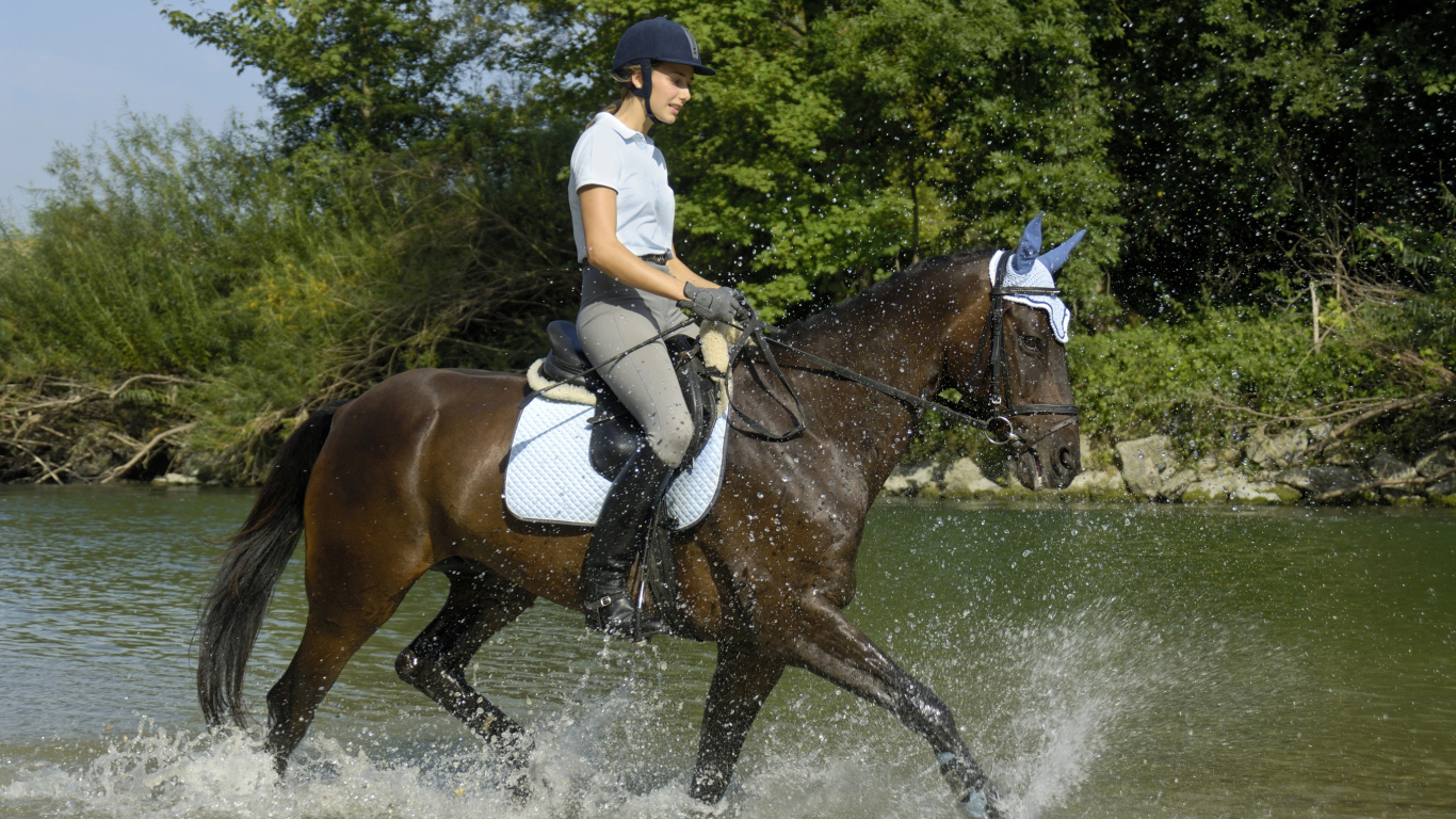 Молодая девушка на лошади скачет по воде