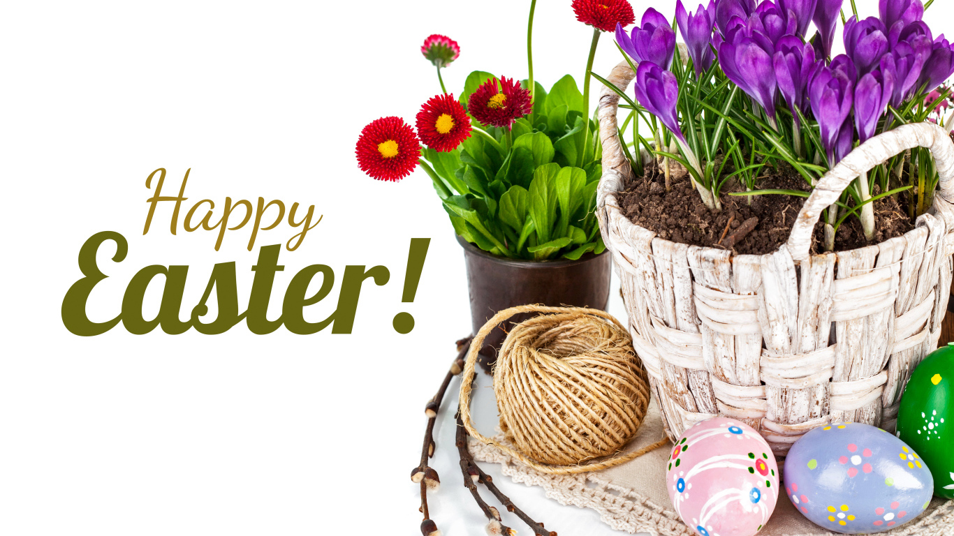 Весенние цветы и крашеные яйца на Пасху