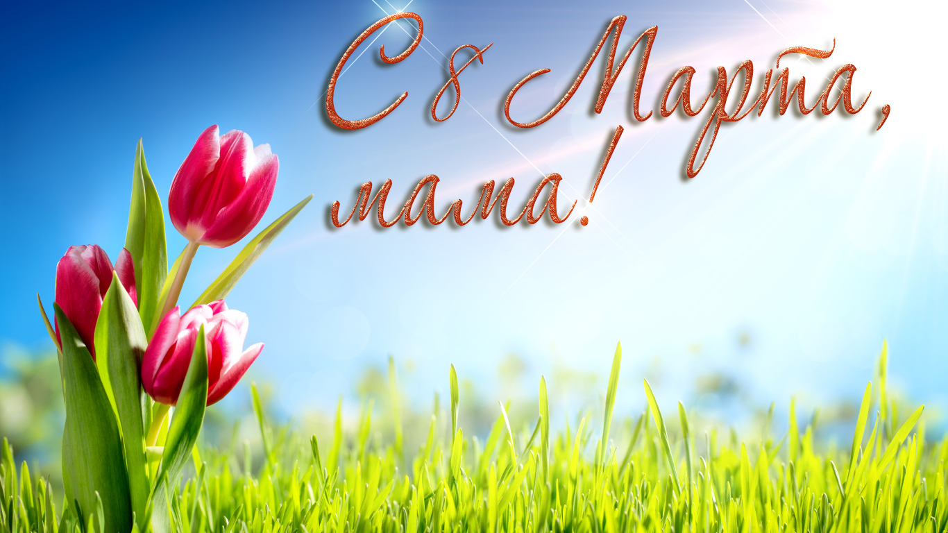 Красивые тюльпаны, на 8 марта поздравление для мамы
