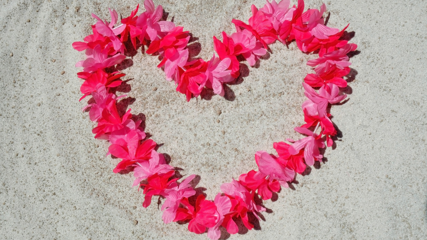 Сердце из розовых цветов на песке