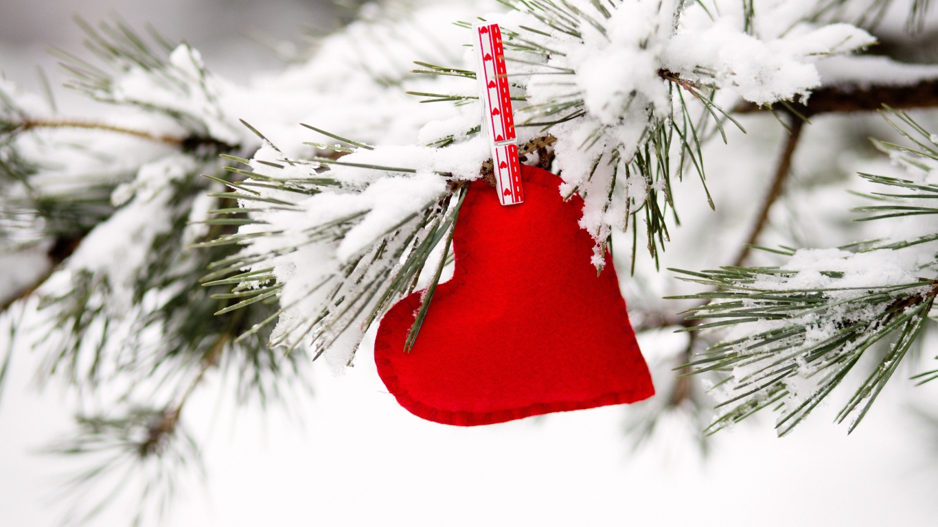 Красное сердечно висит на покрытой снегом сосновой ветке