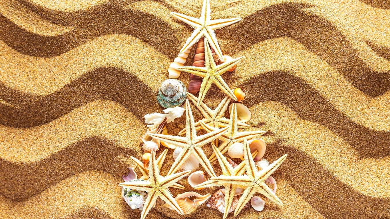 Елка из морских звезд на разноцветном песке 