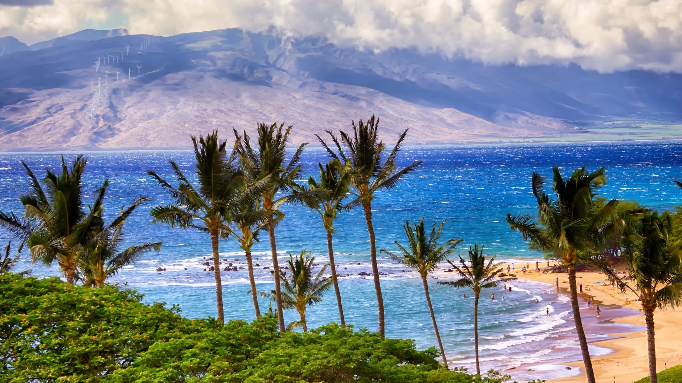 Зеленые пальмы на пляже у океана на фоне гор