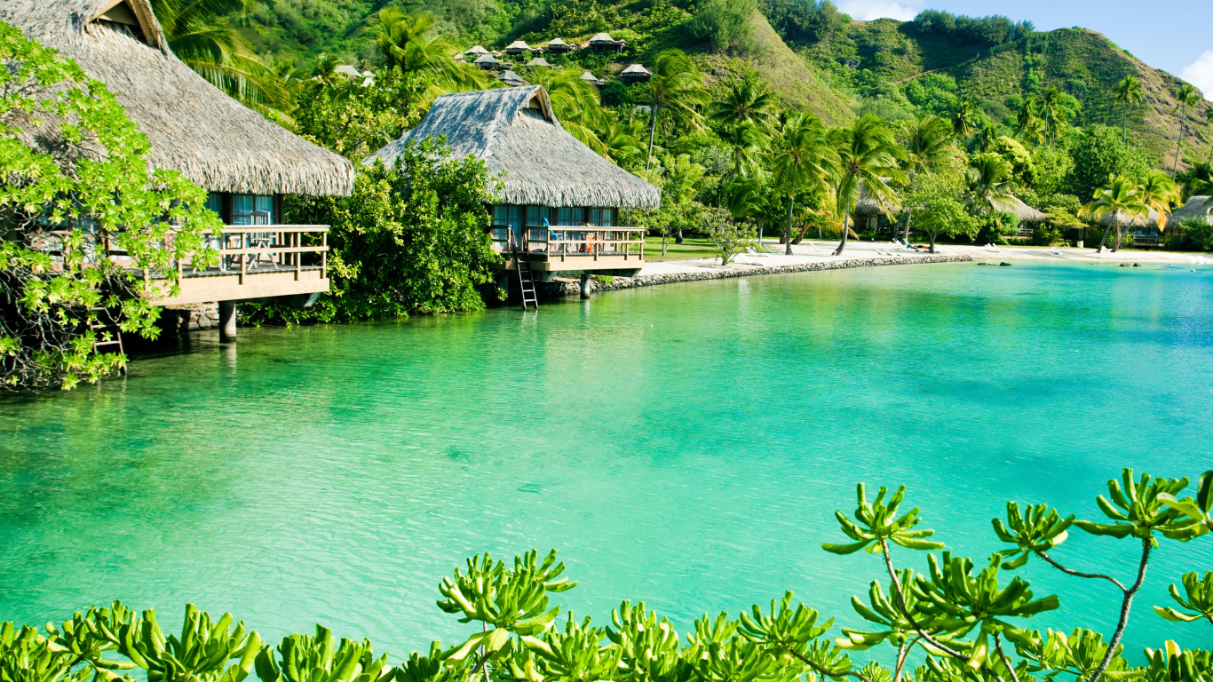 Дома на сваях на зеленом тропическом пляже