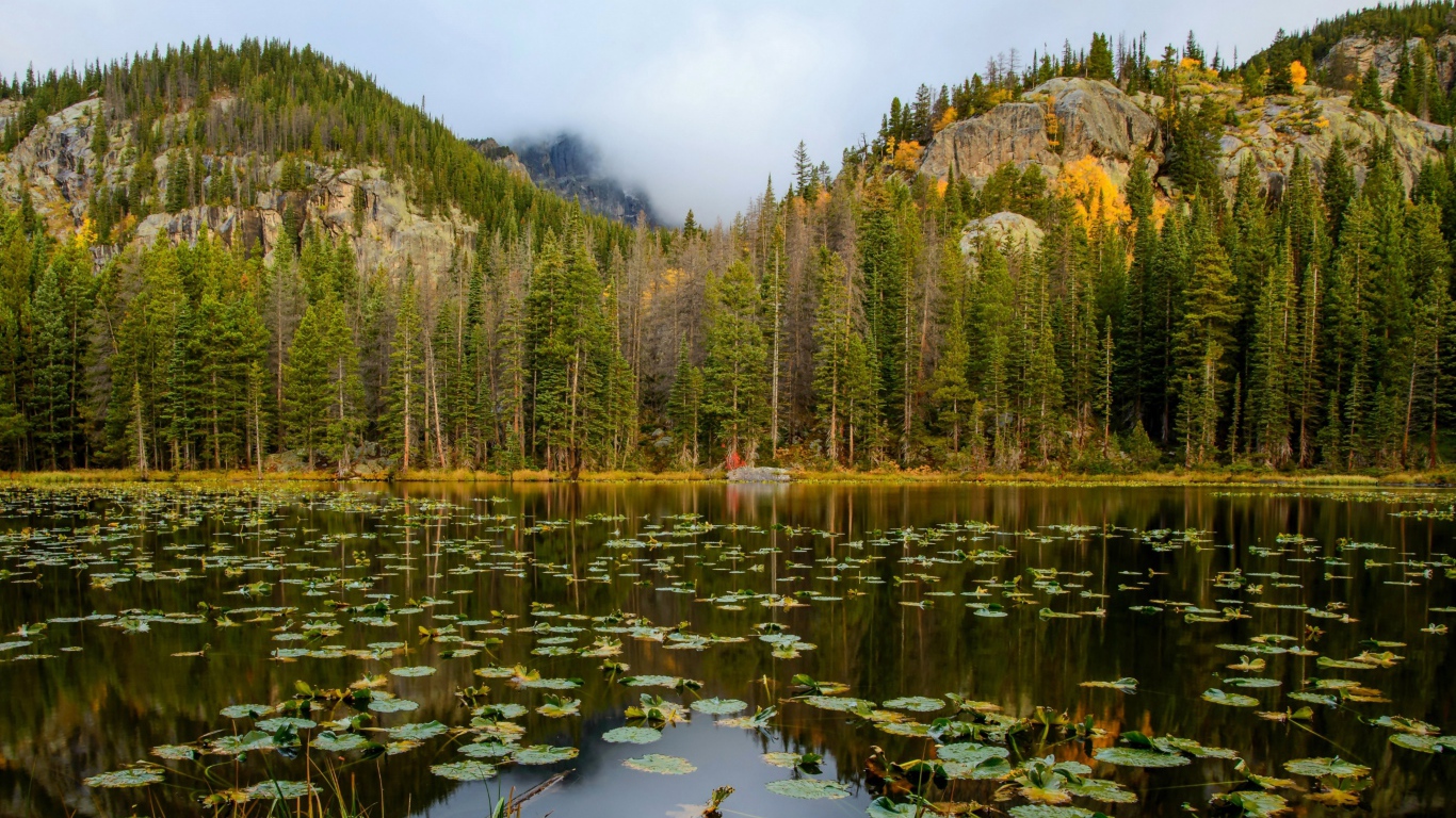 Озеро на фоне соснового леса у подножия гор