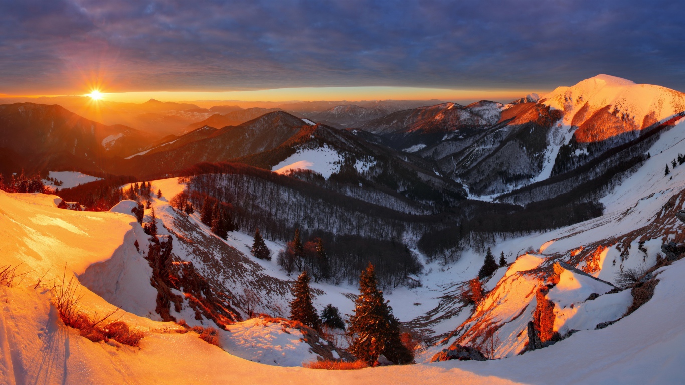 Заснеженные горы, покрытые деревьями в лучах солнца на закате
