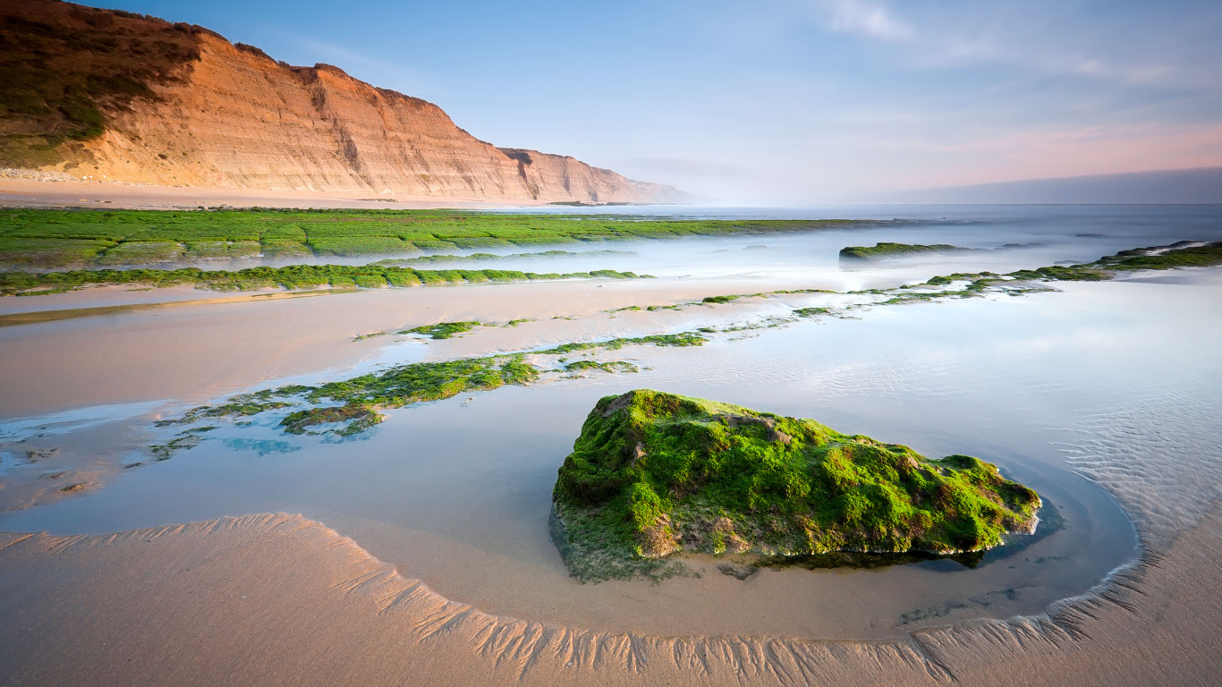Камни на песчаном пляже покрыты зеленым мхом