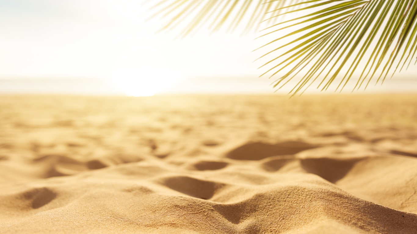 Горячий желтый песок на пляже под палящим солнцем