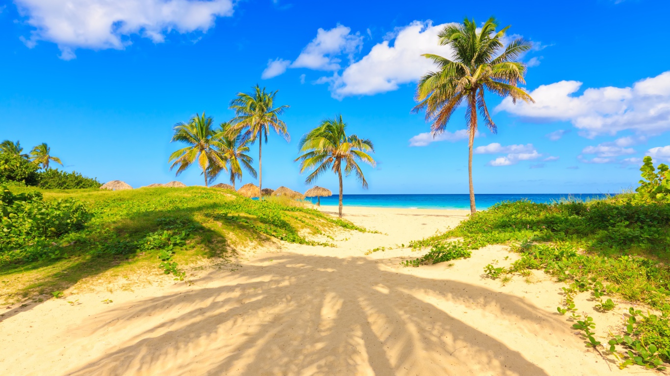 Пальма отбрасывает тень на песке на тропическом пляже