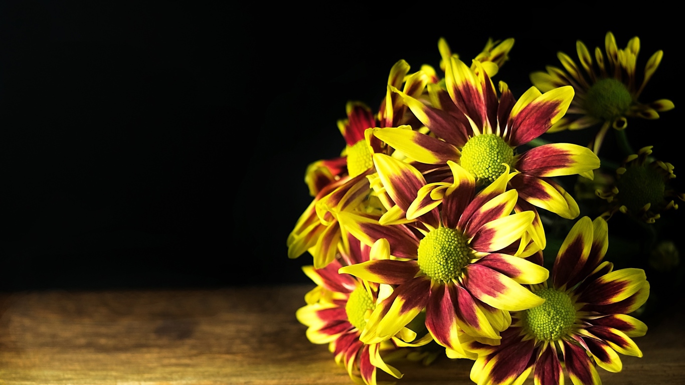 Букет газании на деревянном столе