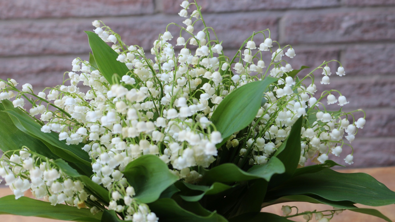 Букет белых ландышей с зелеными листьями