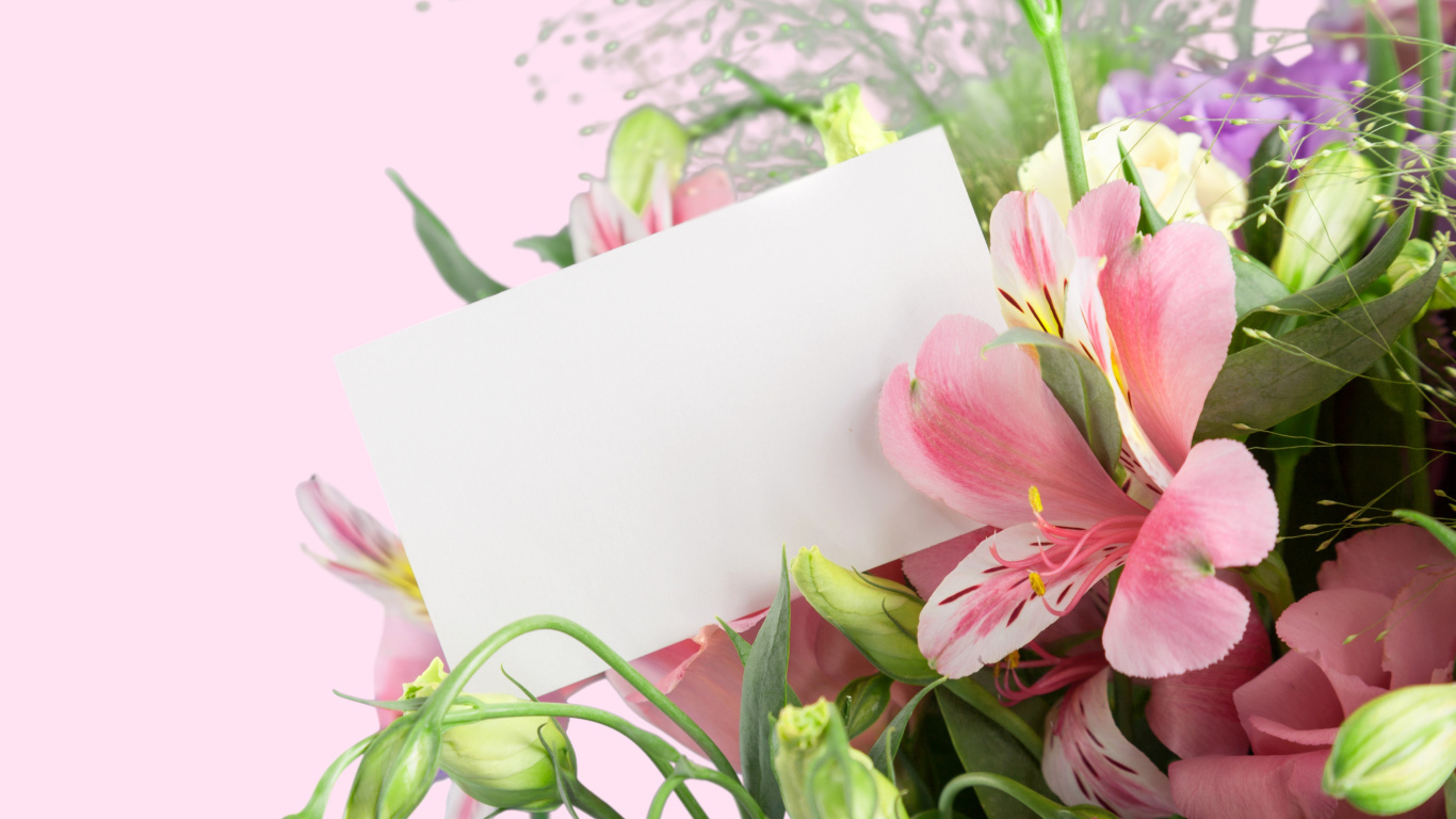 Альстрёмерия с белым листом бумаги, шаблон для открытки