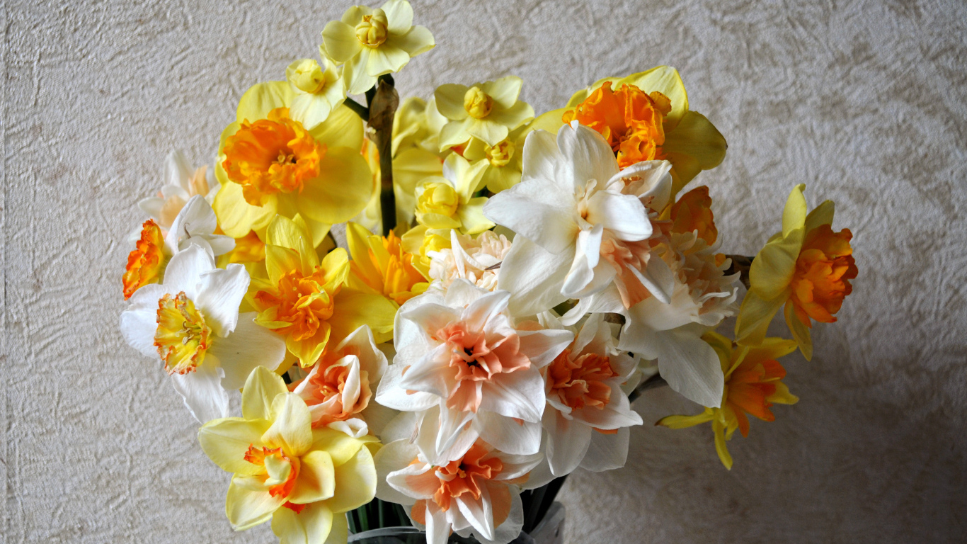 Красивый букет разноцветных нарциссов
