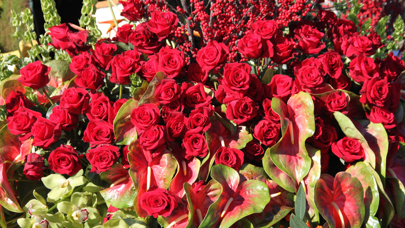 Красивые красные розы с цветами антуриум