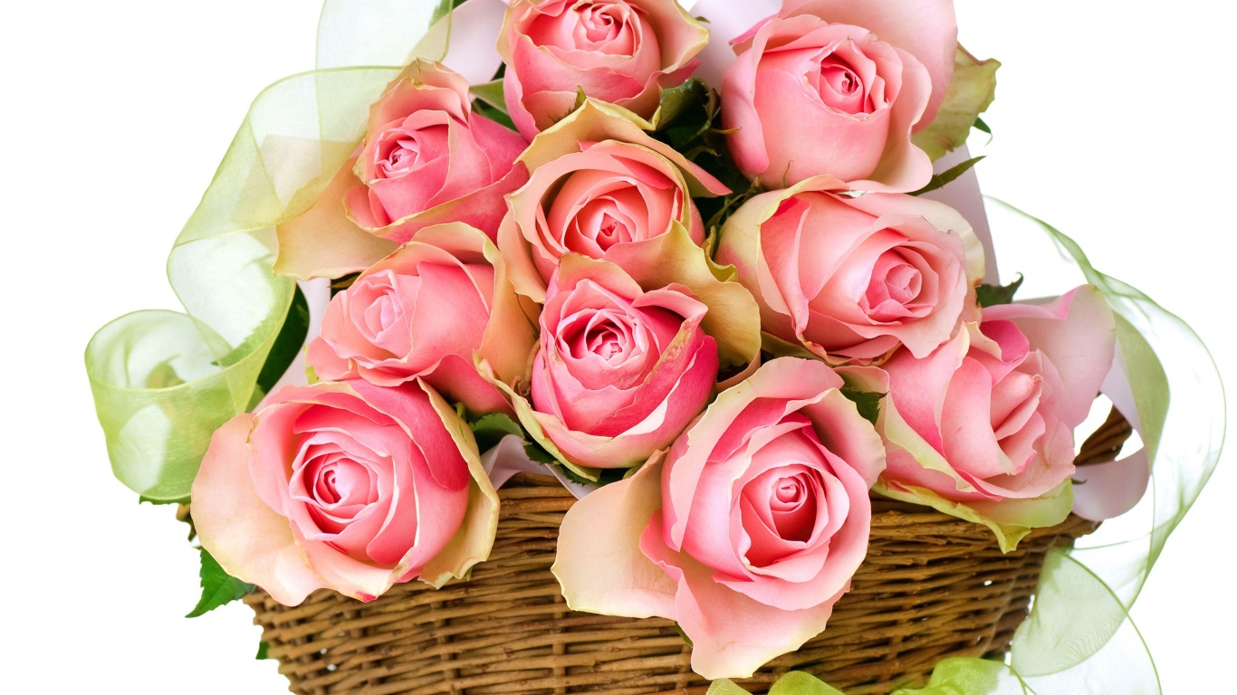 Букет розовых роз в корзине с лентой на белом фоне