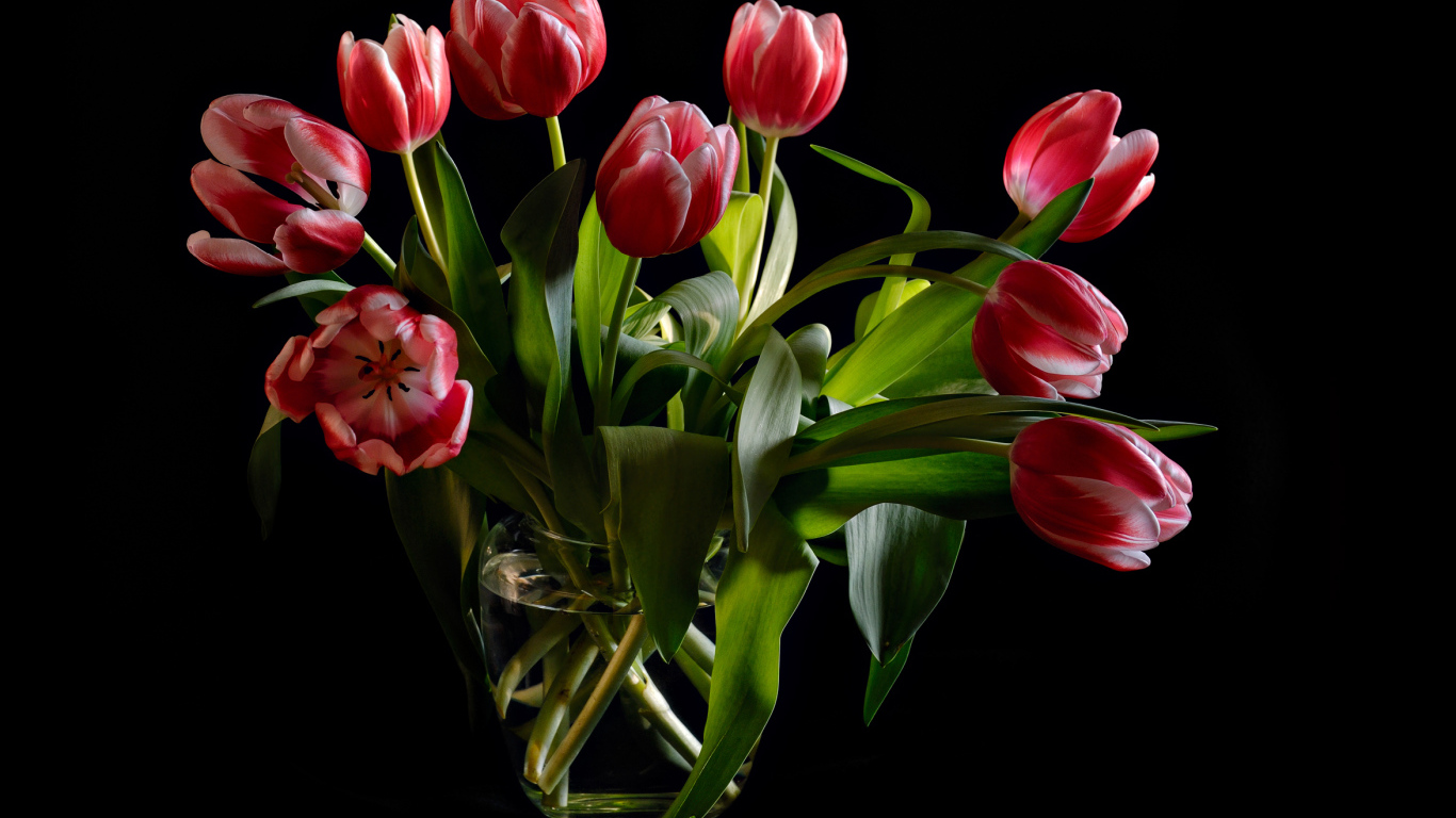 Букет красных тюльпанов в стеклянной вазе на черном фоне