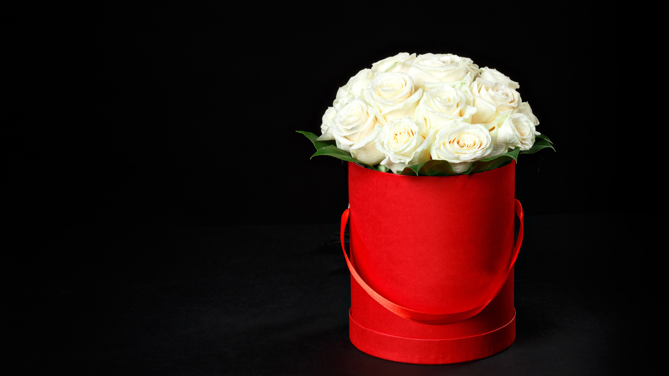 Букет белых роз в красном ведре на черном фоне
