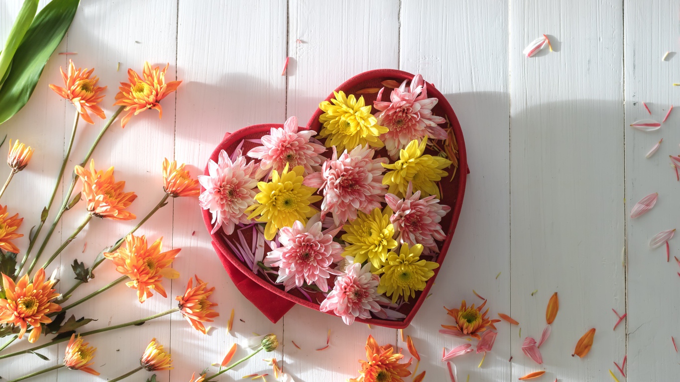 Коробка в форме сердца с цветами хризантемы