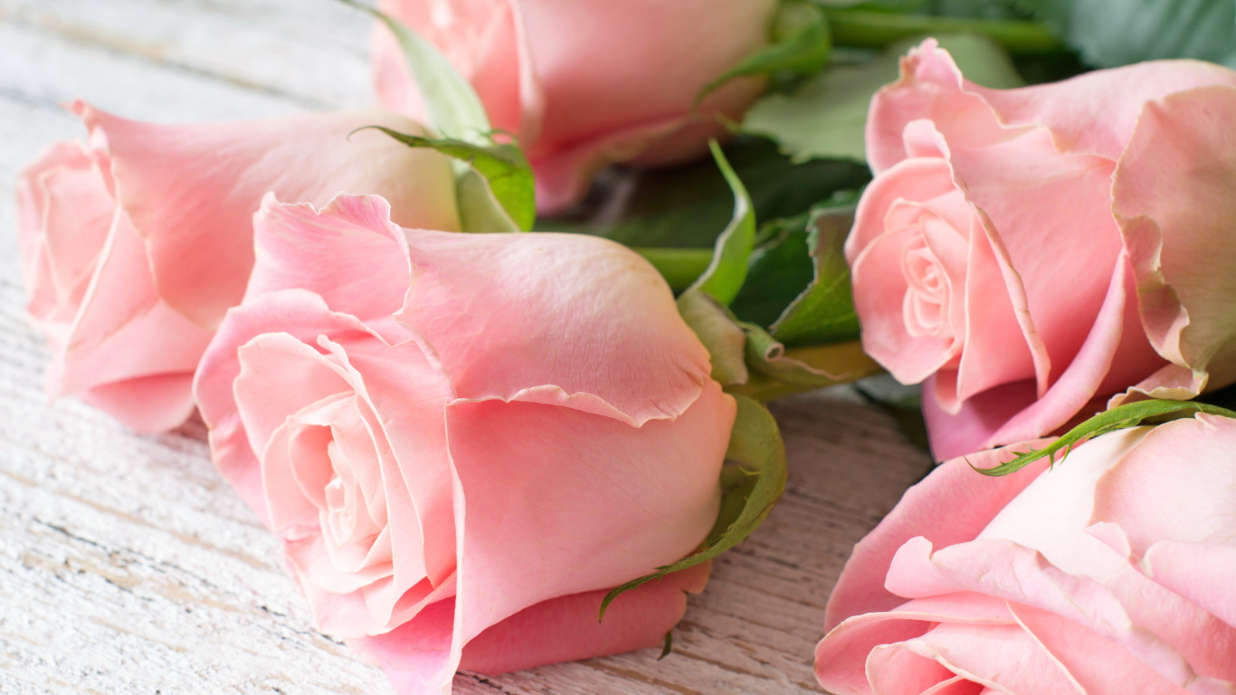 Пять красивых розовых роз лежат на деревянном столе