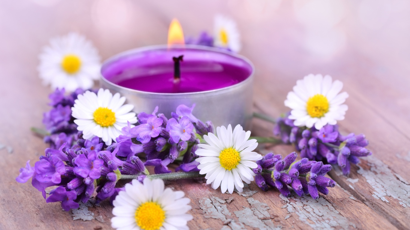Зажженная свеча с цветами ромашки и лаванды
