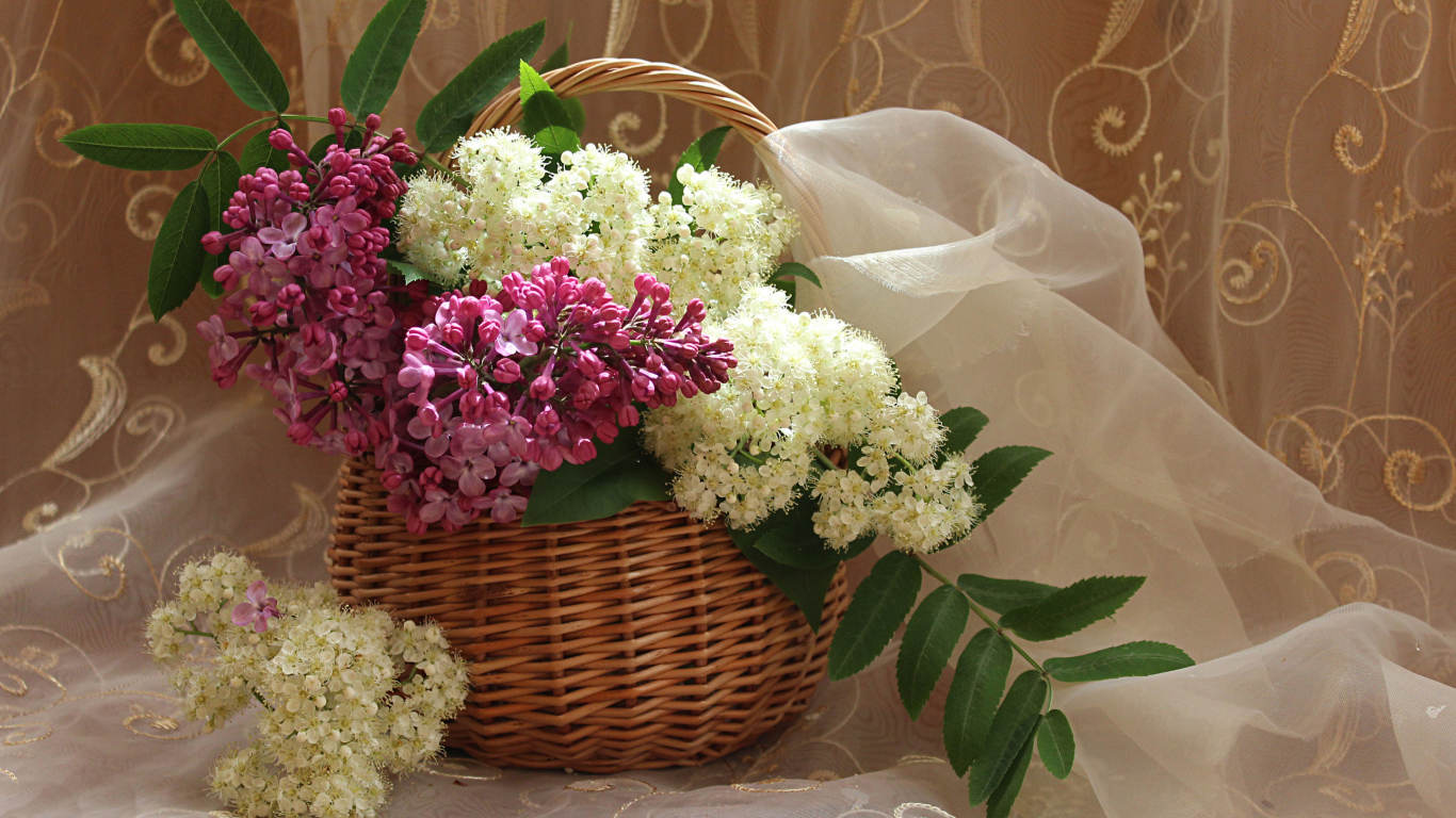 Ветки сирени и белой цветущей рябины в корзине