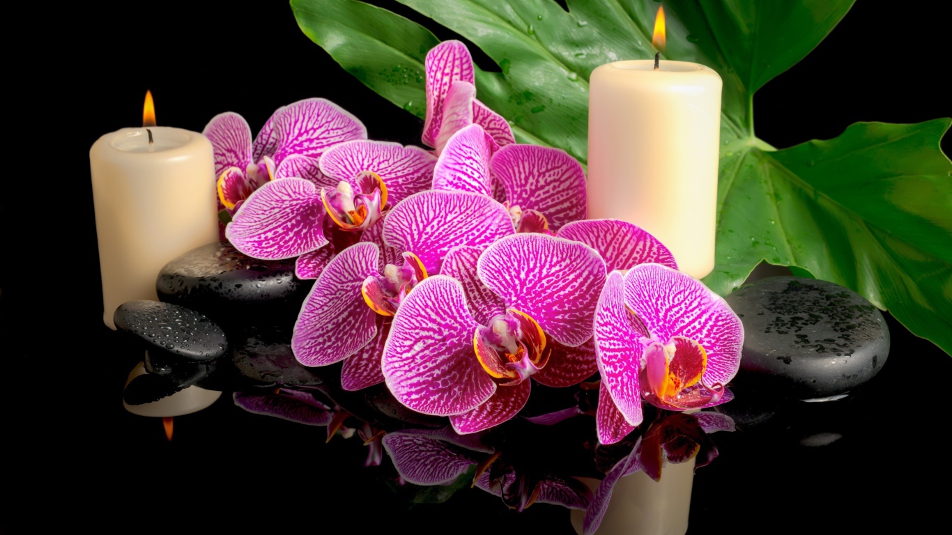 Розовые орхидеи с черными камнями и зажженными свечами