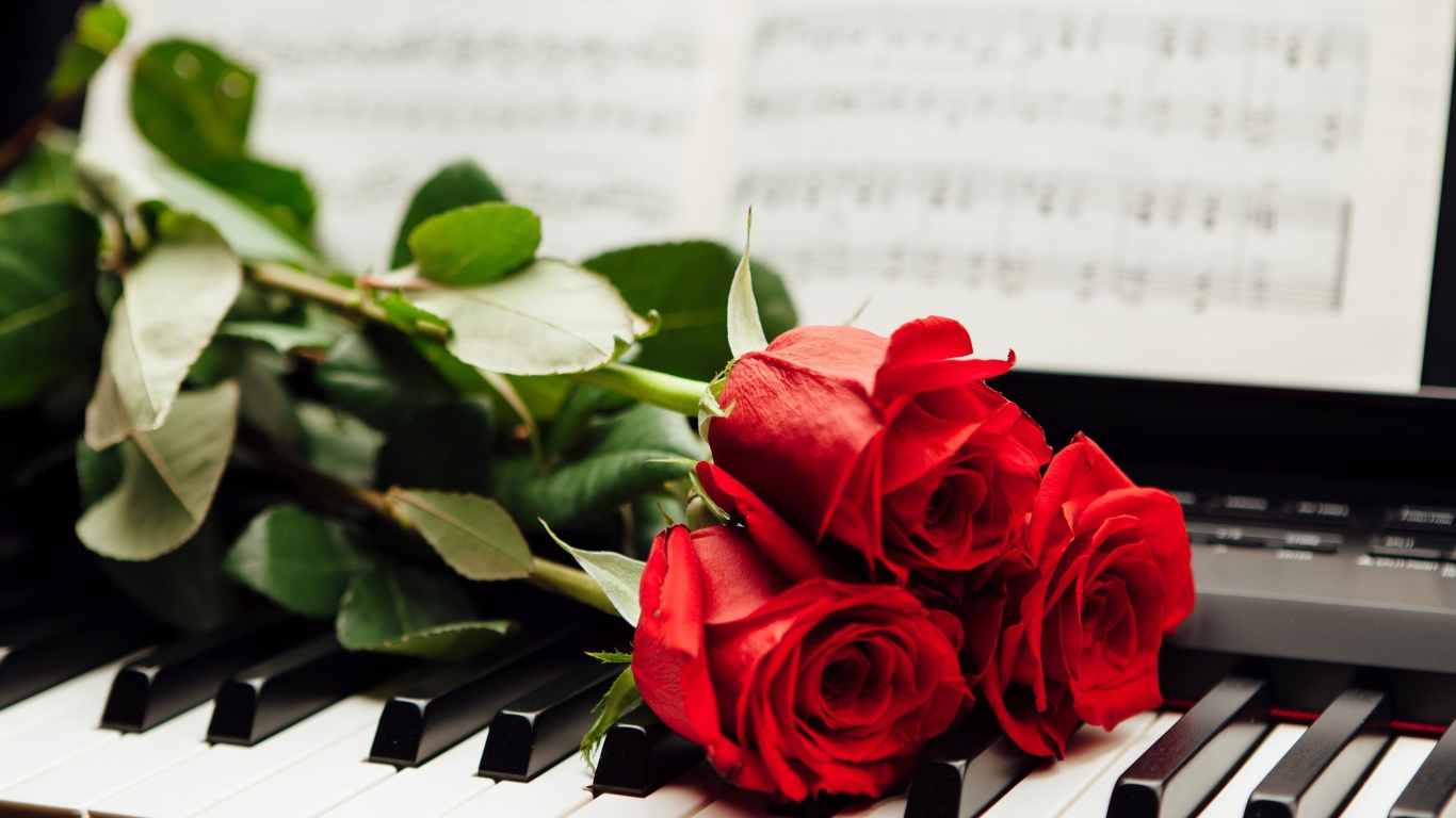 Три красные розы лежат на клавишах пианино с нотами