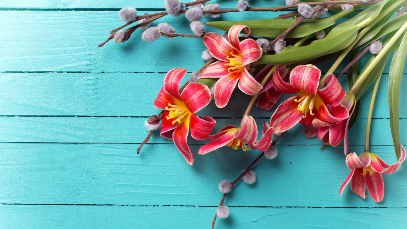 Тюльпаны с веточками вербы на голубом фоне