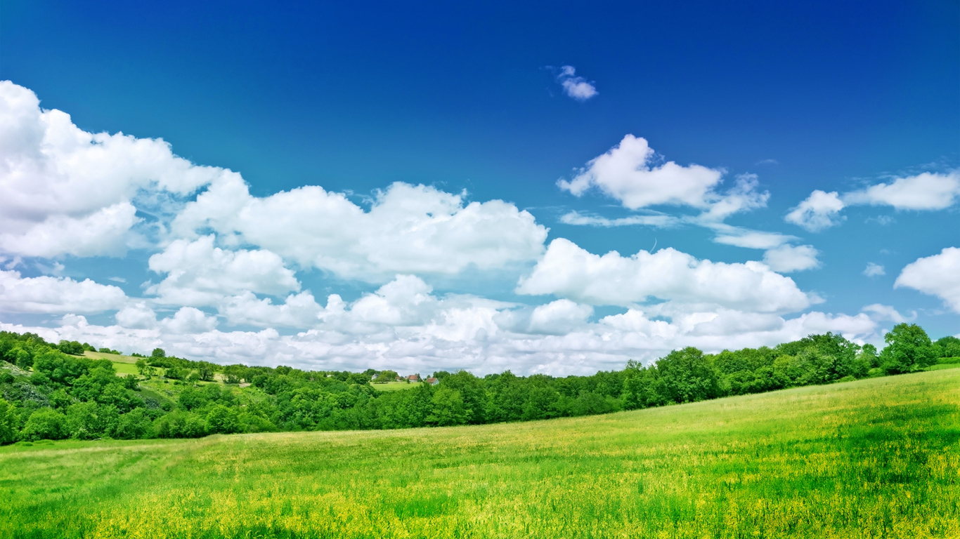 Зеленый летний луг под голубым небом с белыми облаками