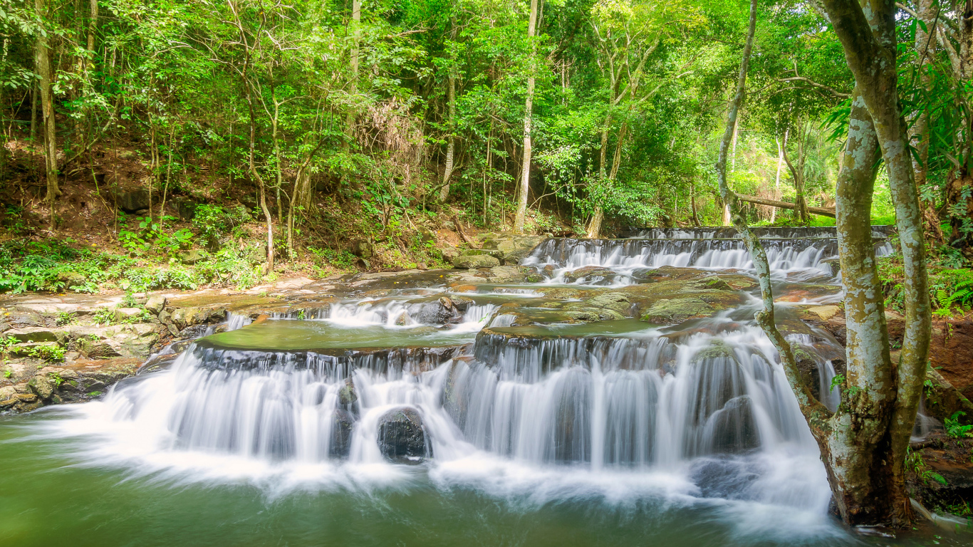 Быстрый лесной маленький водопад 