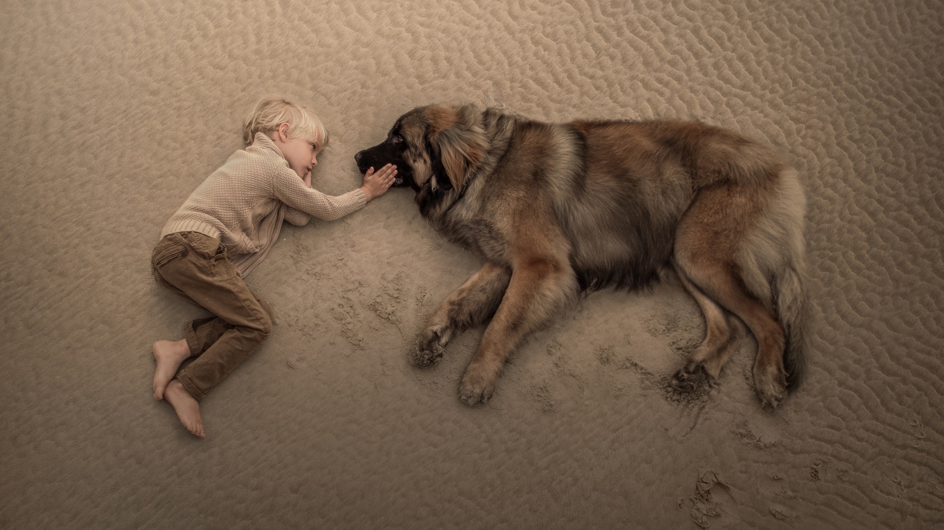 Маленький мальчик лежит на песке с большой собакой