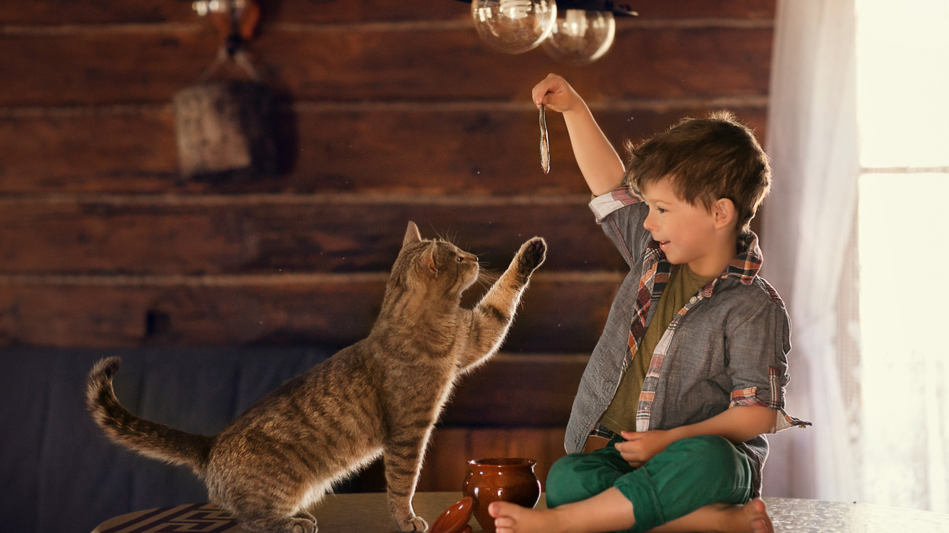 Маленький мальчик дразнит рыбой серого кота