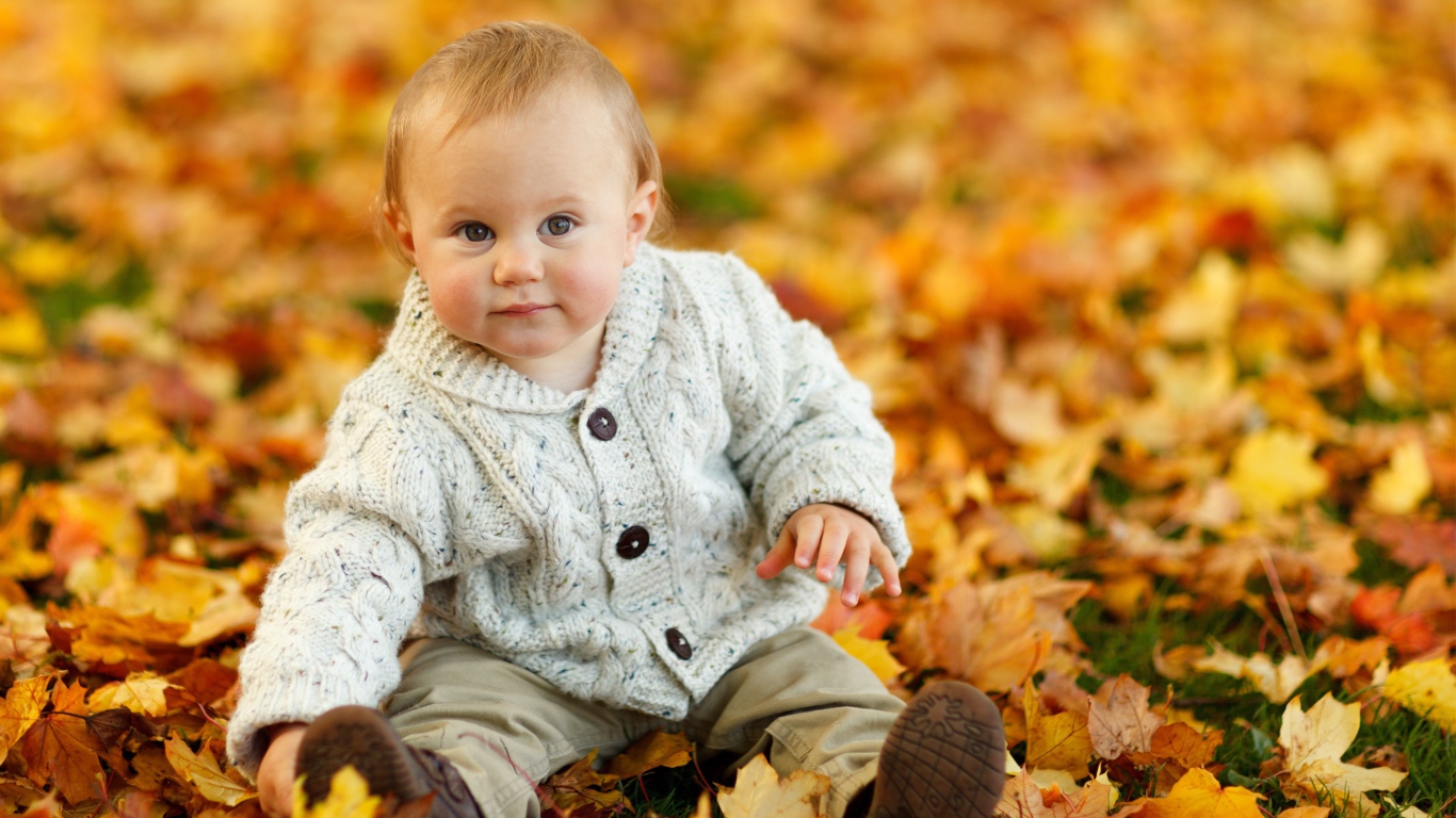 Маленький ребеной сидит на желтой опавшей листве осенью