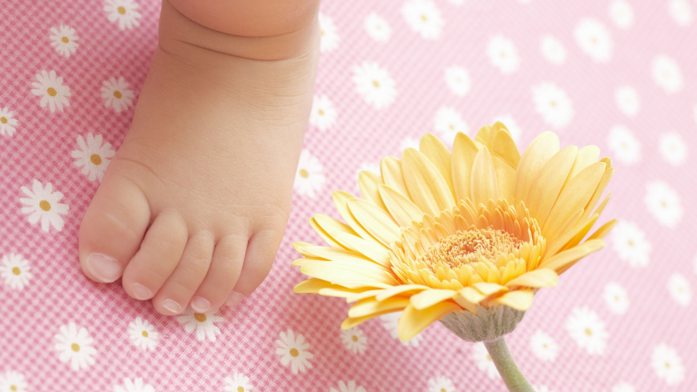 Маленькая ножка новорожденного с цветком герберы
