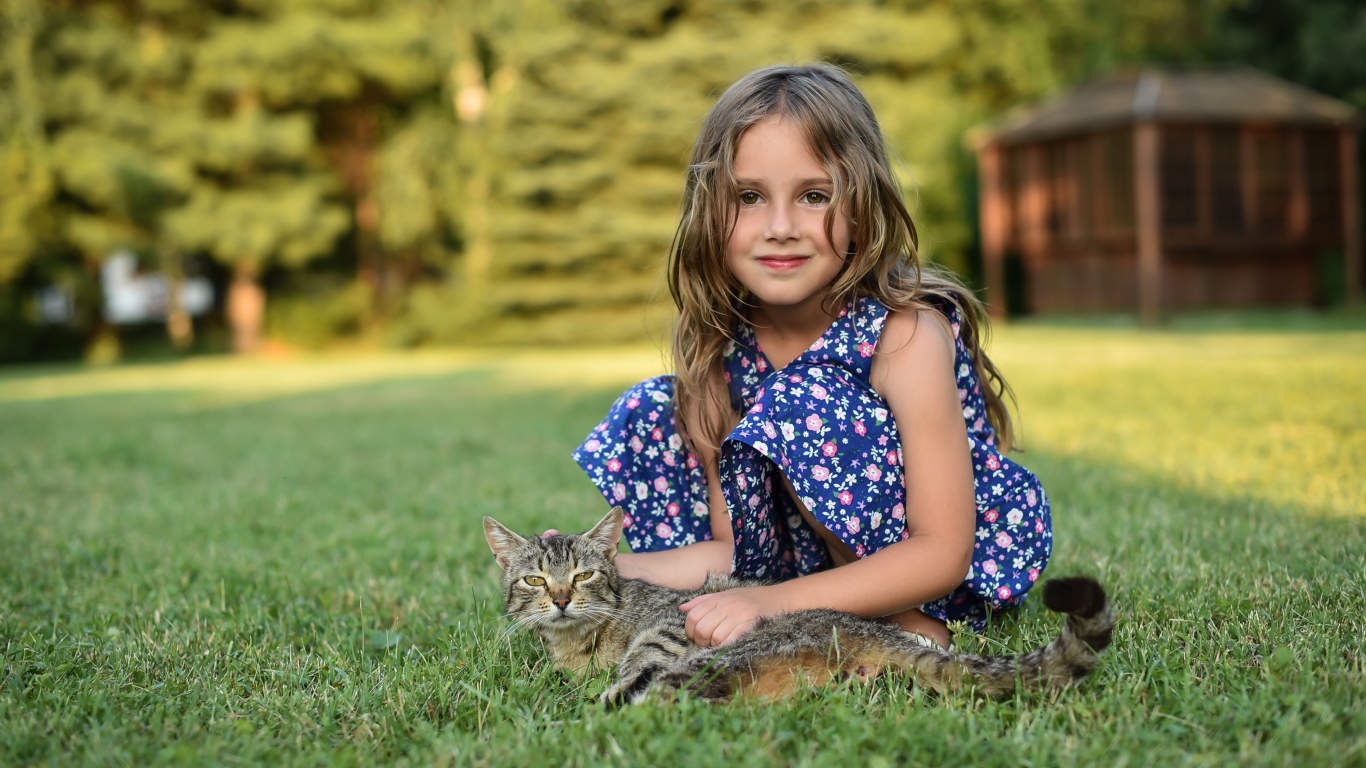 Маленькая девочка сидит на зеленой траве с серым котом