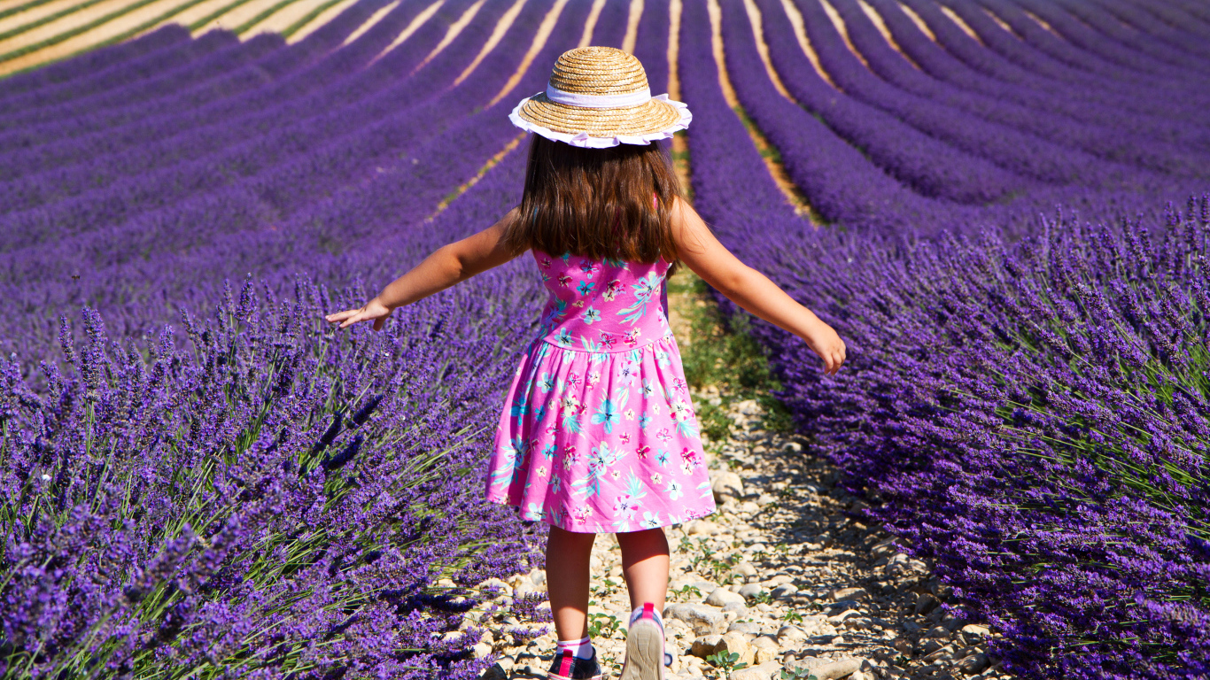 Маленькая девочка гуляет по полю с лавандой