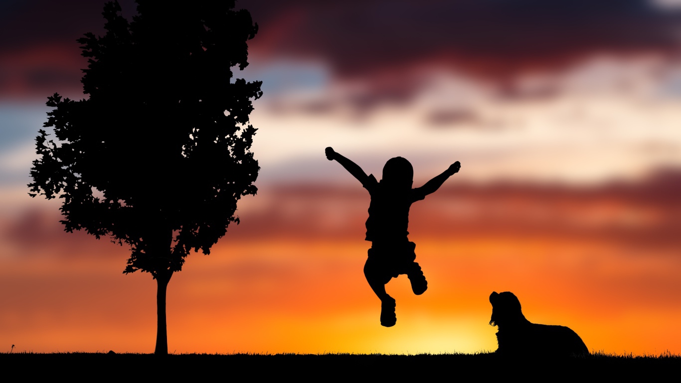 Силуэт маленького мальчика с собакой на фоне заката