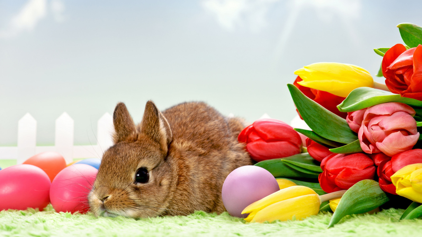 Серый декоративный кролик с букетом тюльпанов и яйцами 